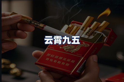 云霄九五